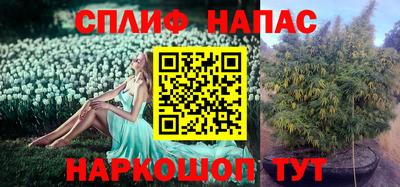 бутират Будённовск