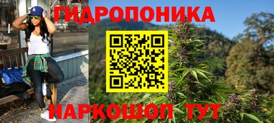 стаф Бузулук