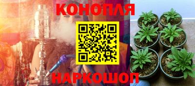 стаф Бузулук
