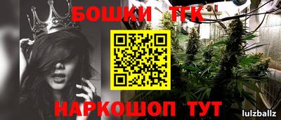 стаф Бузулук