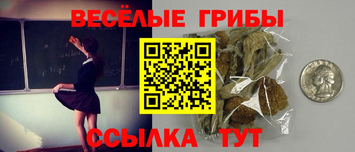 Галлюциногенные грибы GOLDEN TEACHER  Вход с VPN  Ревда  Псилоцибиновые грибы Magic Shrooms 